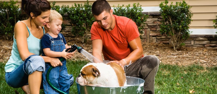 Family playing outside