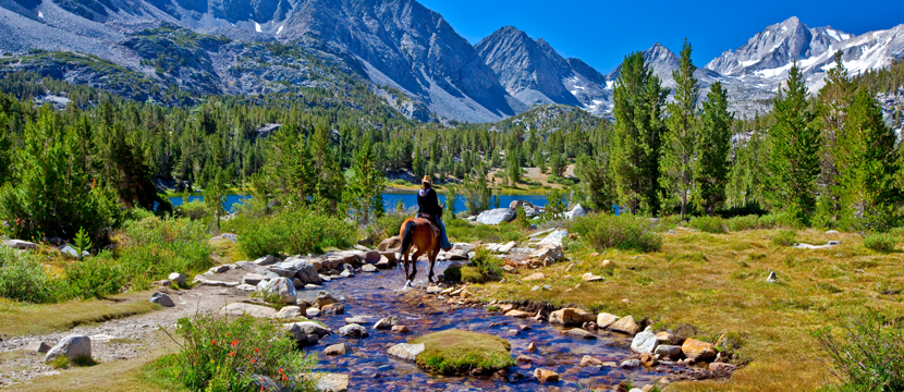 National Parks Pass